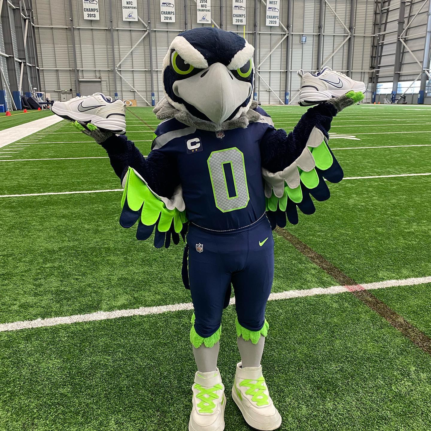 blitz, seattle seahawks nfl mascot