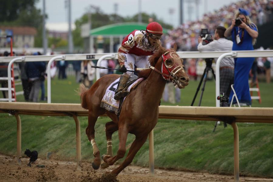 irs-taxes-kentucky-derby-wins-but-can-you-deduct-losses