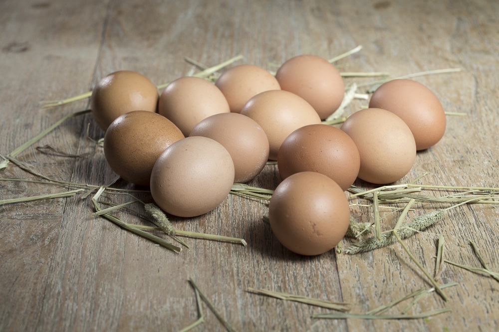 Achieving a successful conversion to a limited liability company