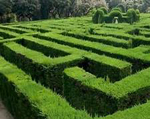 Inversion rules will hit boutique M&A advisors hardest