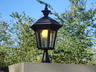 Profile_dsc01983