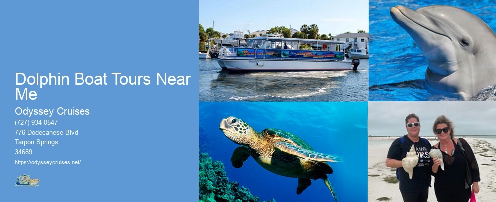 Dolphin Boat Tours Near Me