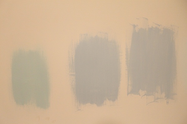 paint samples