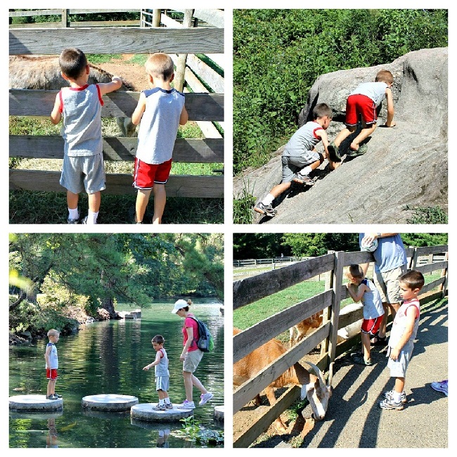 Park Collage