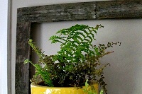 DIY Frame
