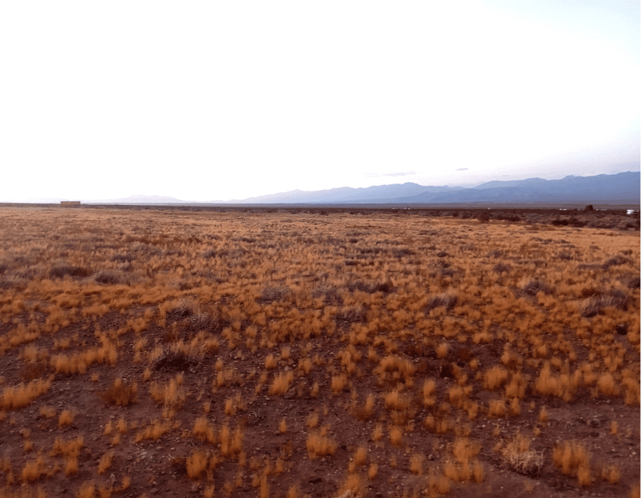 Property in Tecopa