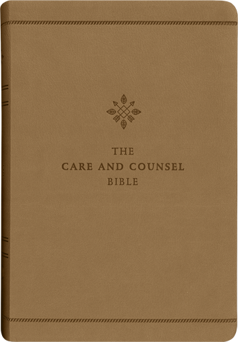 Care and Counsel Bible