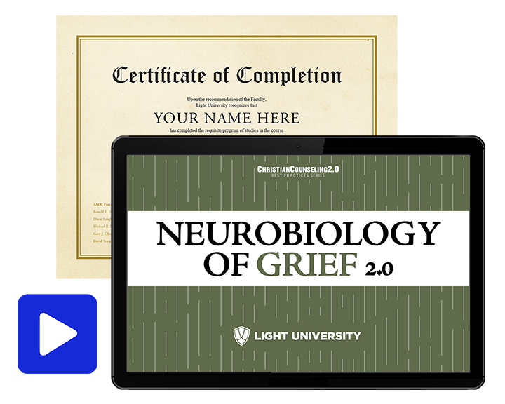 Neurobiology of Grief 2.0