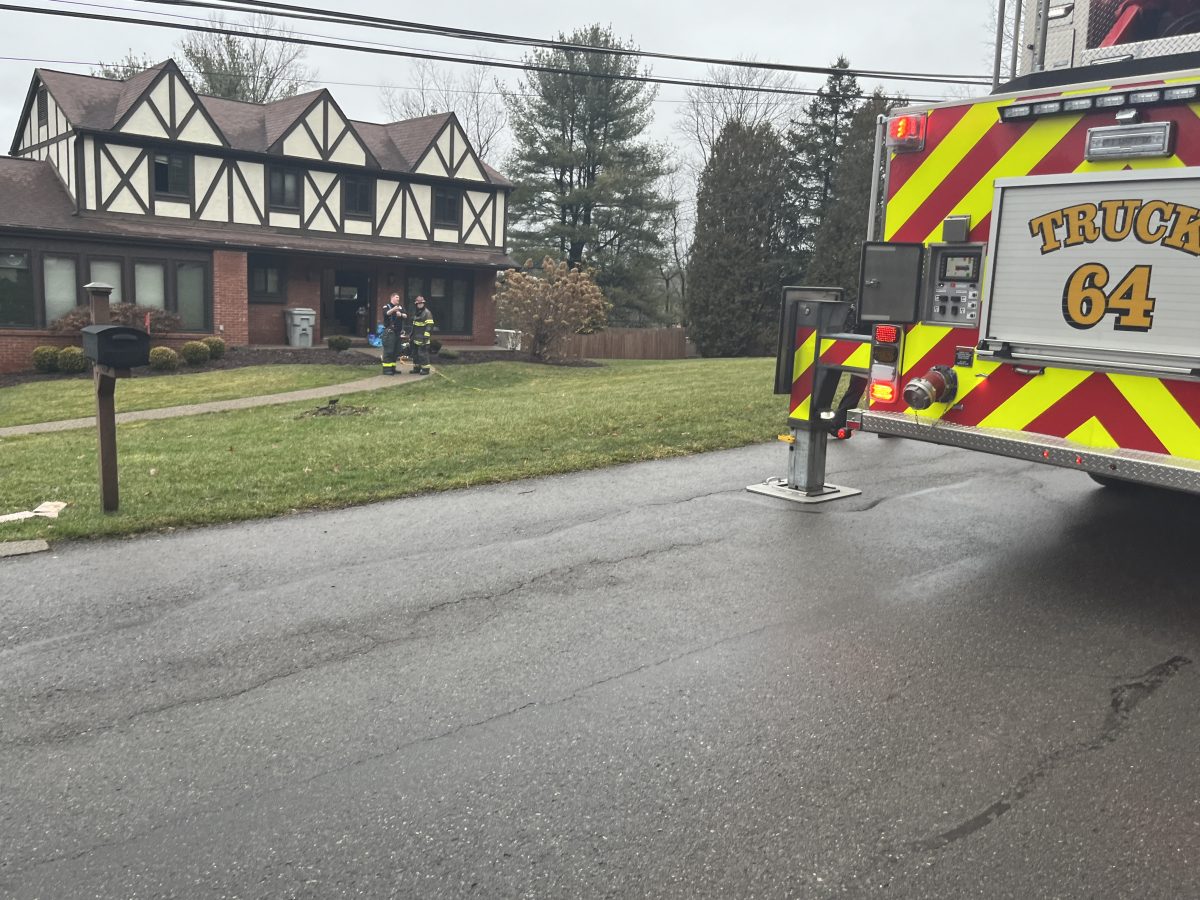 Woman dies in Peters Township fire - Observer-Reporter - Vimarsana News