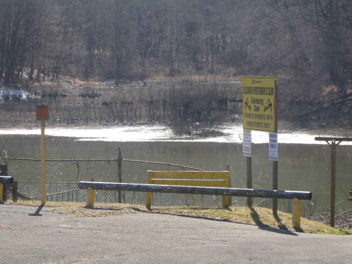 Testimony heard in effort to resolve Cokeburg Dam issues - Vimarsana News