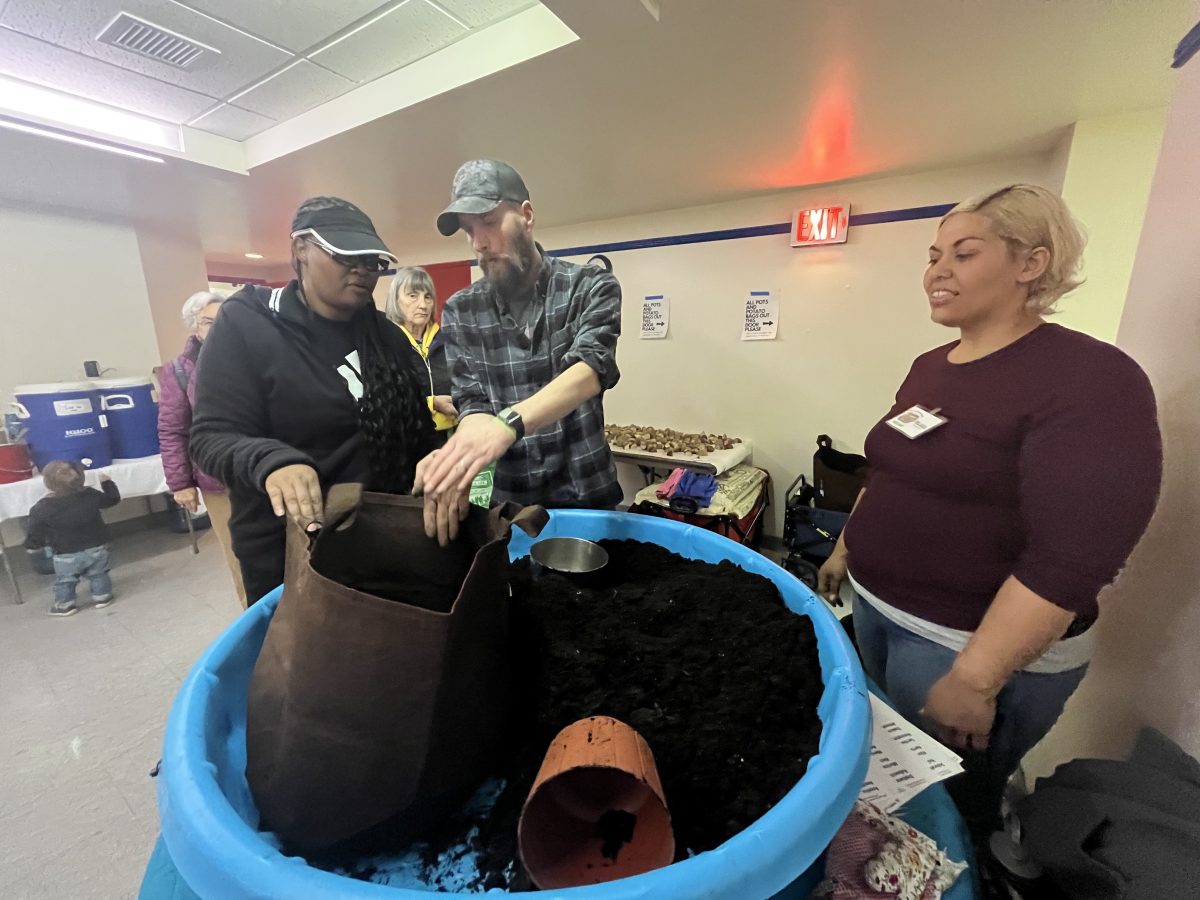 Ready to grow: Annual seed swap prepares gardeners for planting season - Vimarsana News
