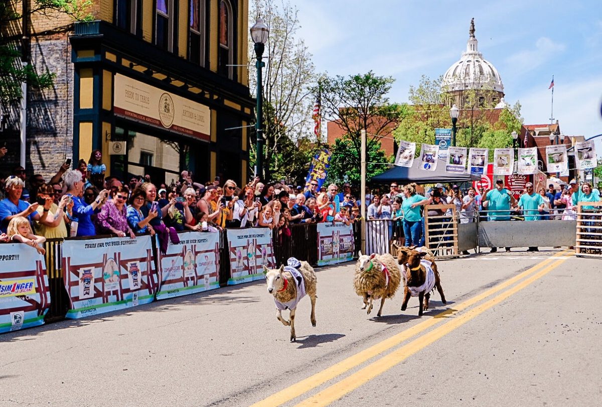 Washington's many street festivals a boon for downtown businesses - Vimarsana News