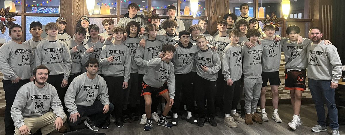 Bethel Park clinches section title - Vimarsana News