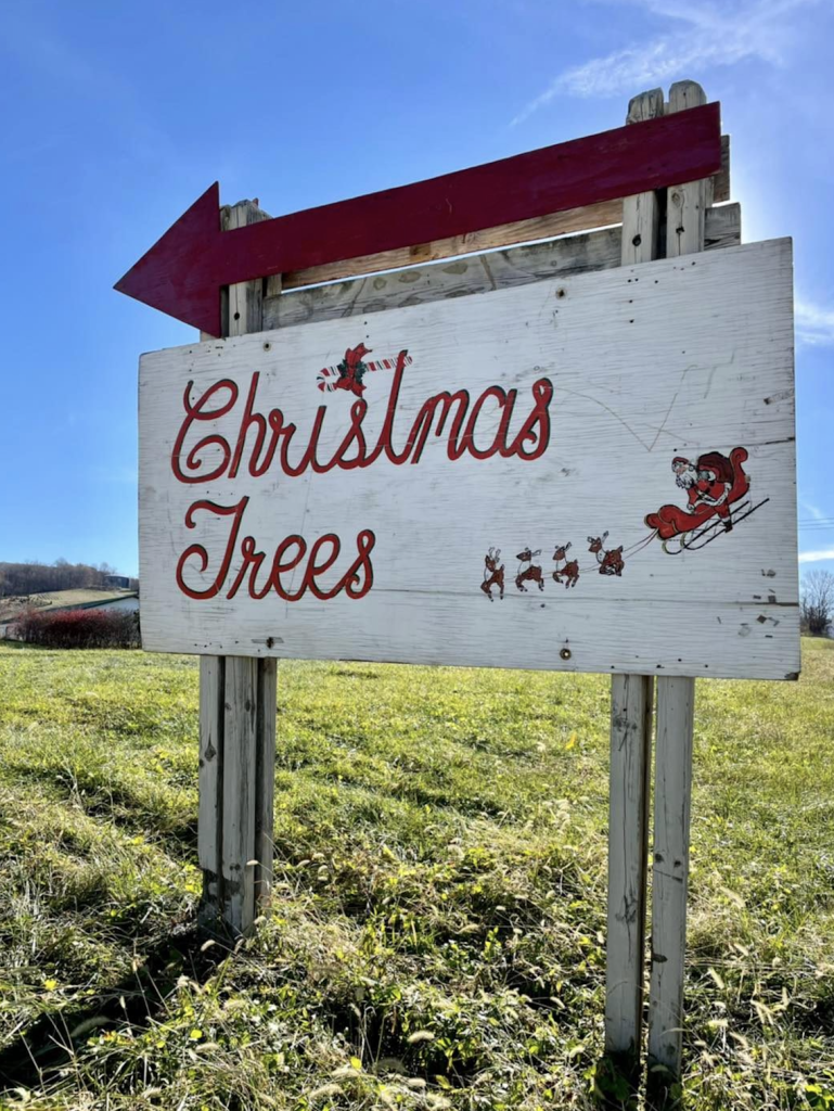 Oh, Christmas tree: Local Christmas tree farms offer magical holiday experience - Vimarsana News