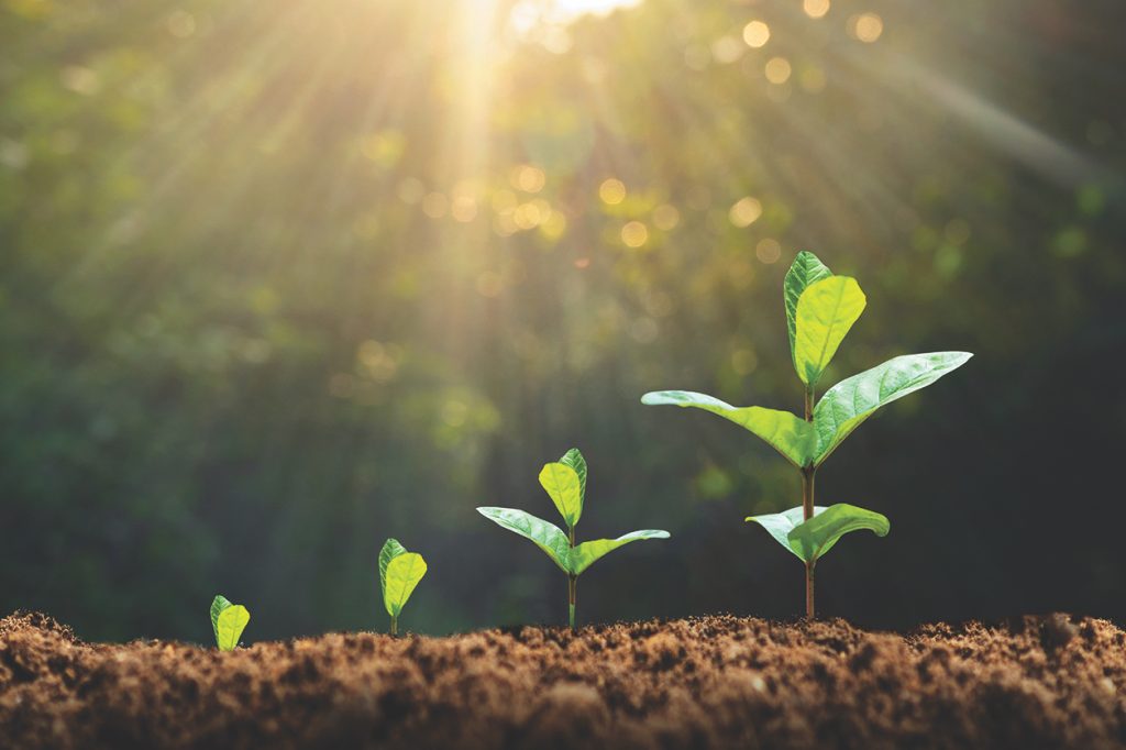 'Seed Swap Day' for home gardeners includes local event in Smithfield - Vimarsana News