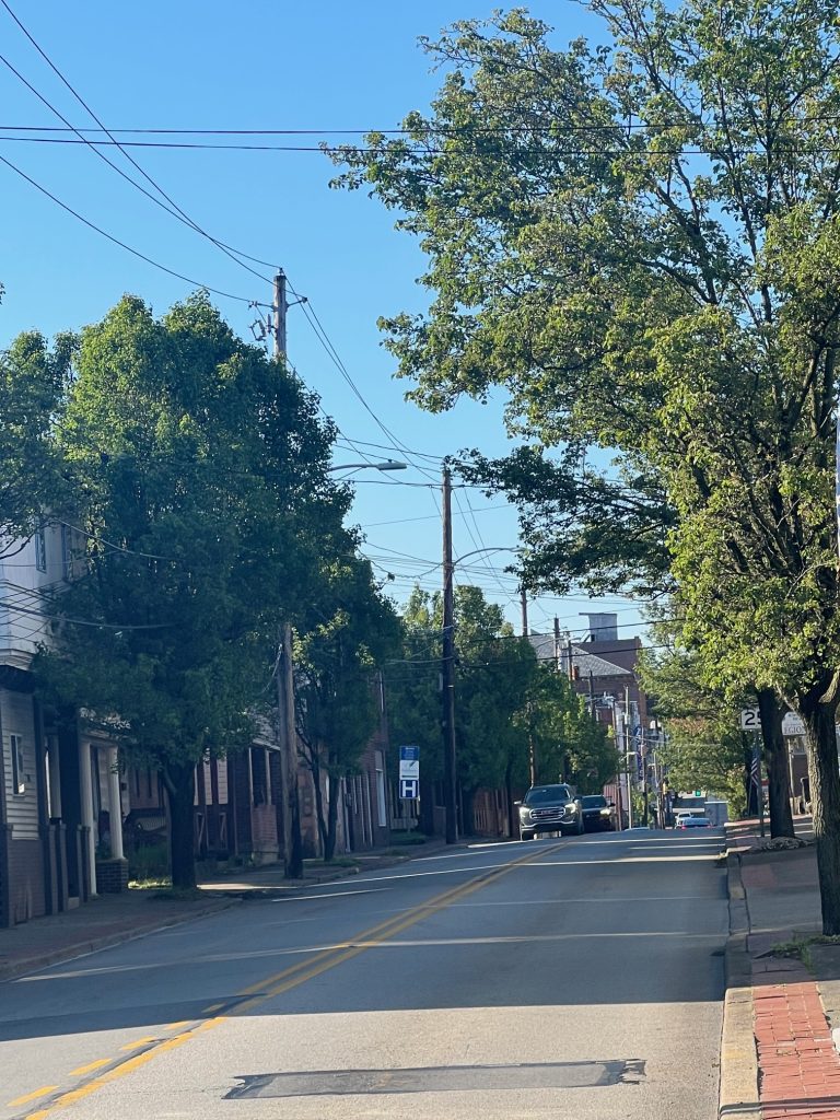 Connellsville ready to launch program to improve city's tree scape; searching for new volunteers - Vimarsana News