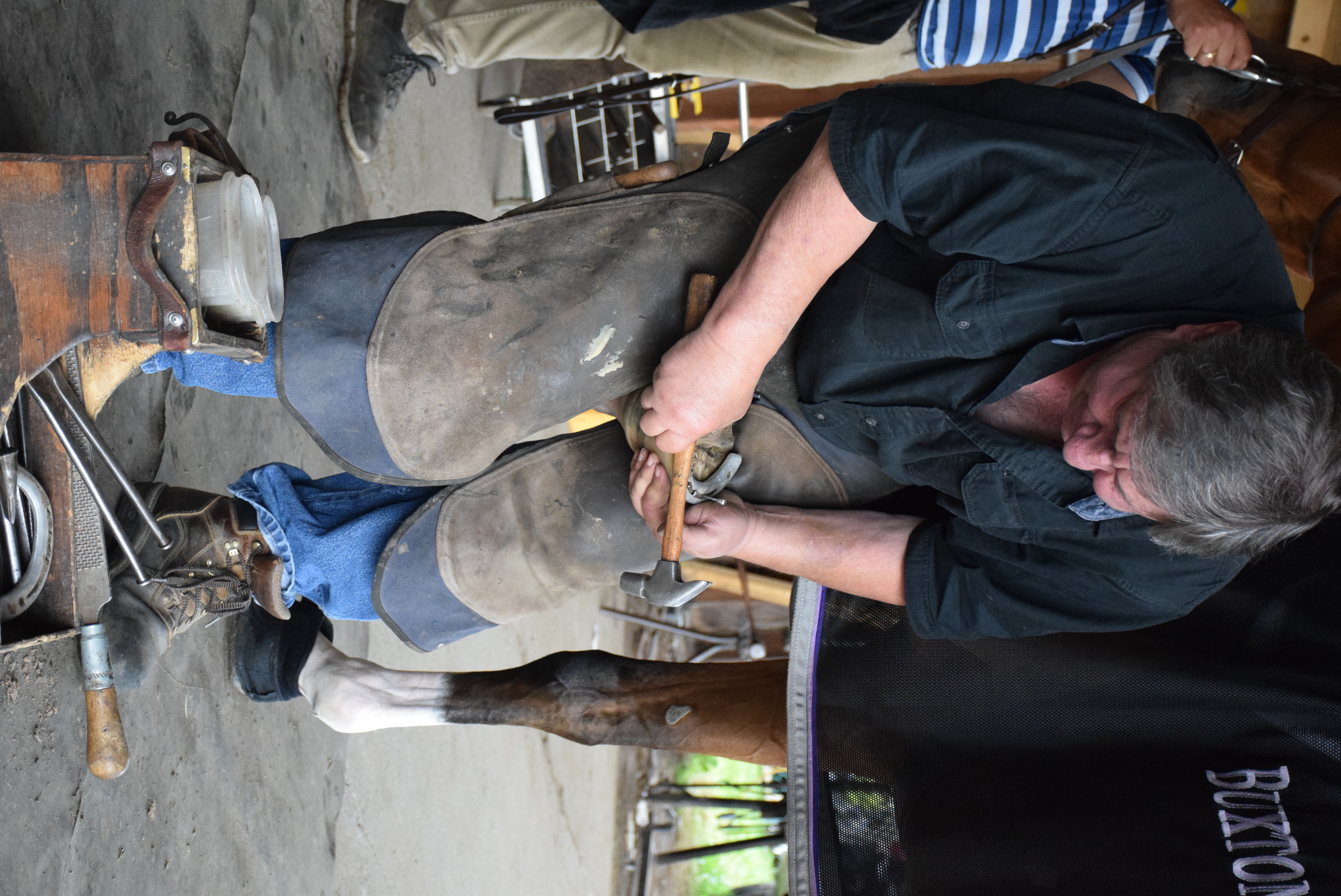 LP horse show farrier a shoer to the stars News, Sports, Jobs