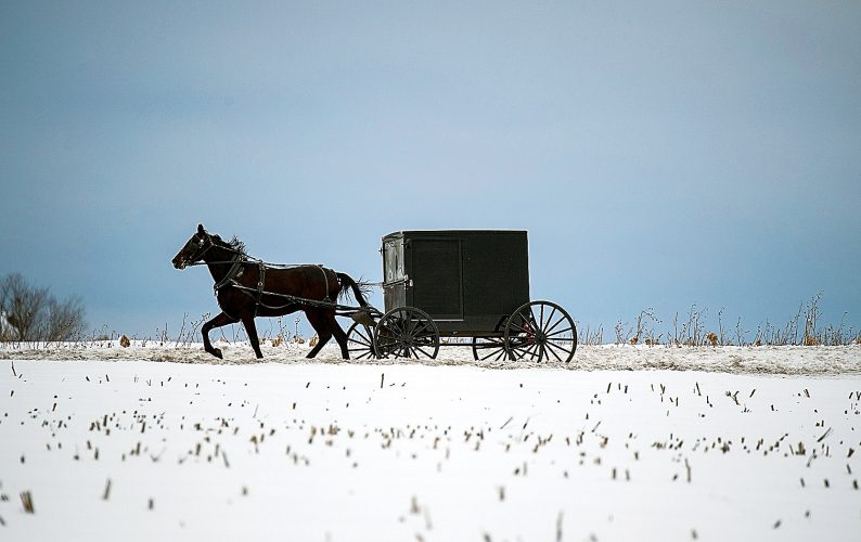 Following the herd | News, Sports, Jobs - Vimarsana News