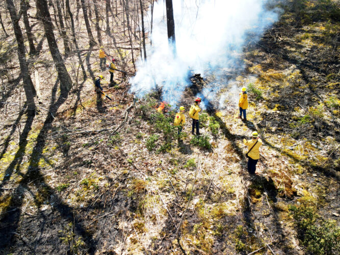 Brush fires on the rise | News, Sports, Jobs - Vimarsana News