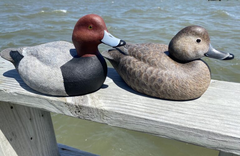 Flock together | News, Sports, Jobs - Altoona Mirror - Vimarsana News