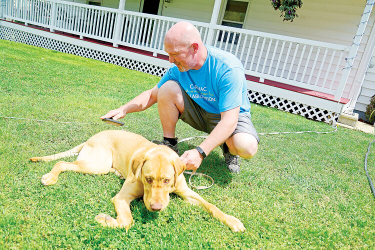 Brushing up | News, Sports, Jobs - Altoona Mirror - Vimarsana News