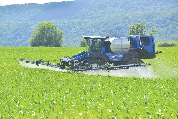 Sweet corn delay — Farmers expect late crop | News, Sports, Jobs - Vimarsana News