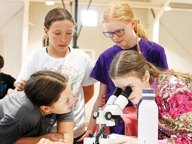 Camp gives students up close look at STEM concepts | News, Sports, Jobs - Vimarsana News