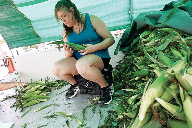 All ears | News, Sports, Jobs - Altoona Mirror - Vimarsana News