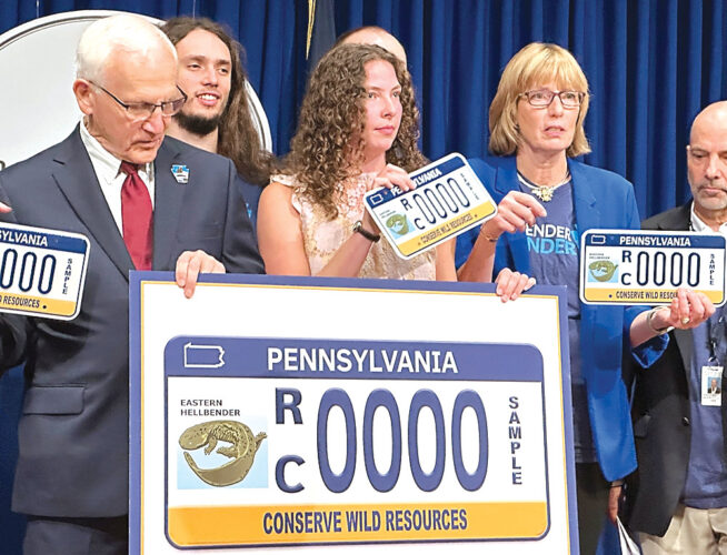 State amphibian gets featured spot on license plates | News, Sports, Jobs - Vimarsana News