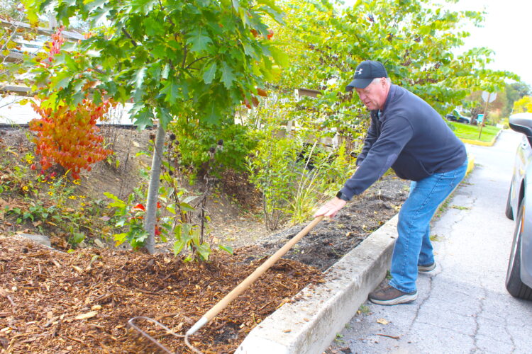 Growing a 'food forest': Community members' efforts help establish rain garden at Duncansville Memorial Park | News, Sports, Jobs - Vimarsana News