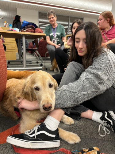 Therapy dogs spread good cheer at AAHS | News, Sports, Jobs - Vimarsana News