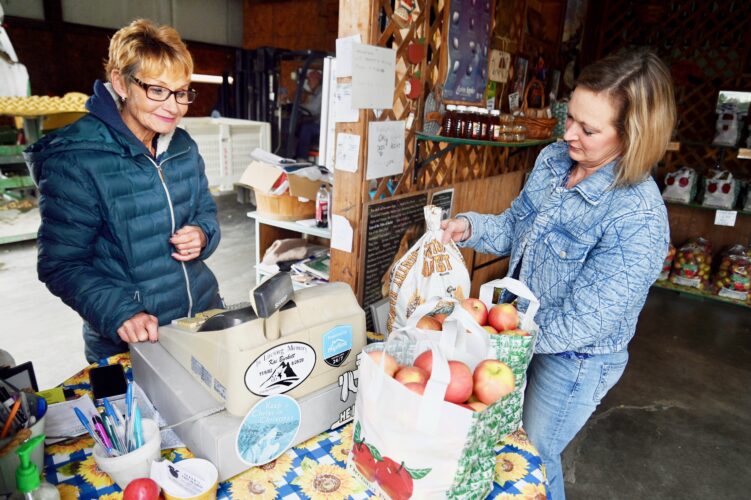 Apple picking season roars on in Bedford | News, Sports, Jobs - Vimarsana News