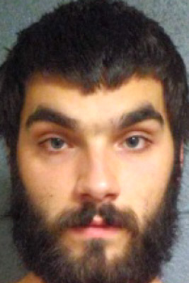 Alleged Lakemont vandals nabbed | News, Sports, Jobs - Vimarsana News