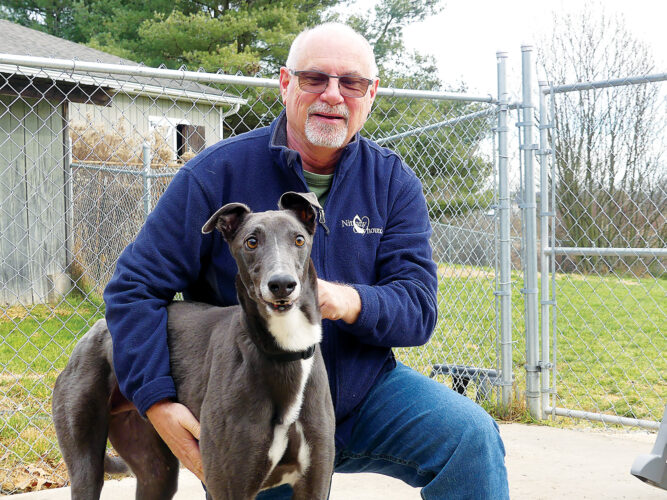Taking the next step: Retired greyhounds get new lease on life through adoption facilities | News, Sports, Jobs - Vimarsana News