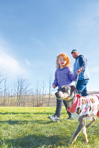 Lending A Paw: Bedford rescue pets receive ongoing care | News, Sports, Jobs - Vimarsana News