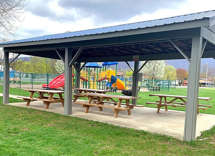 Antis gets grant for improvements to park | News, Sports, Jobs - Vimarsana News