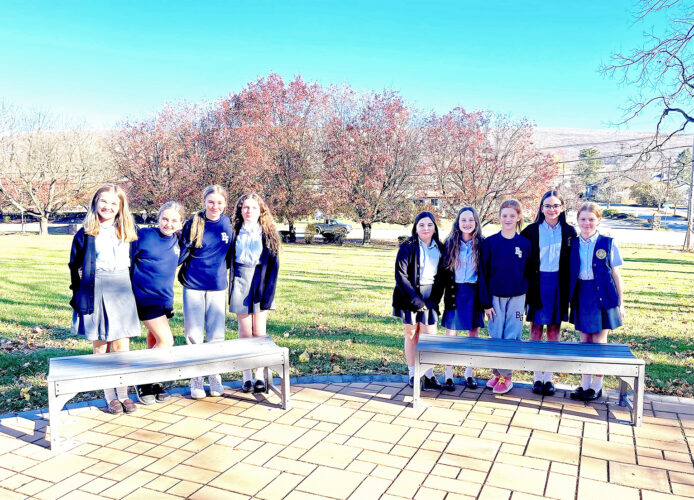 Local Girl Scouts earn Bronze Award | News, Sports, Jobs - Vimarsana News