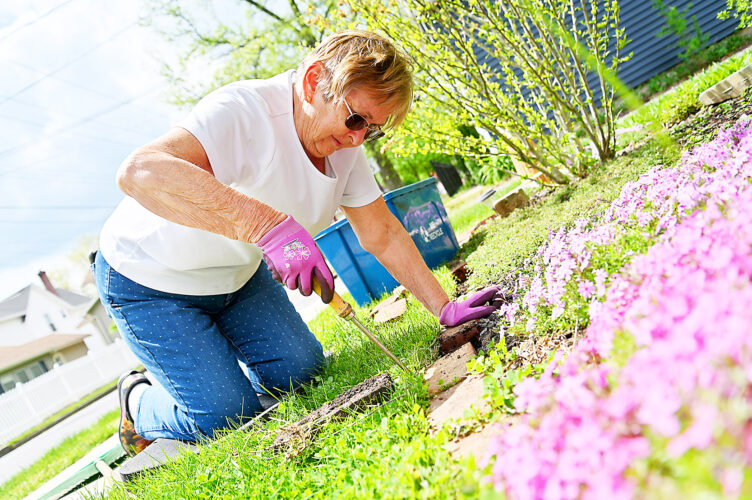 Spring blossoms | News, Sports, Jobs - Altoona Mirror - Vimarsana News