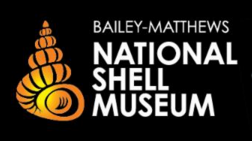 Shell museum adds classes to its educational programming lineup | News, Sports, Jobs - SANIBEL-CAPTIVA - Vimarsana News