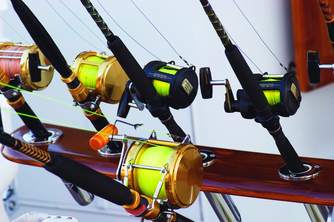 Greater amberjack season closes | News, Sports, Jobs - SANIBEL-CAPTIVA - Island Reporter, Islander and Current - Vimarsana News