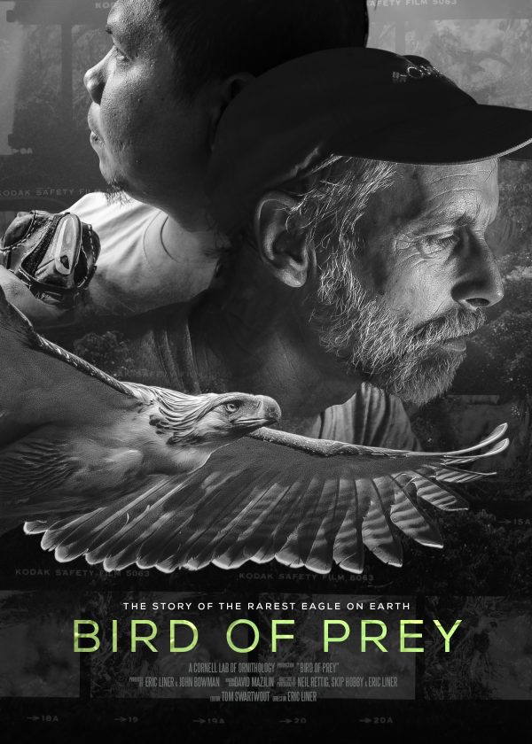 Refuge film follows world's rarest eagle | News, Sports, Jobs - SANIBEL-CAPTIVA - Island Reporter, Islander and Current - Vimarsana News
