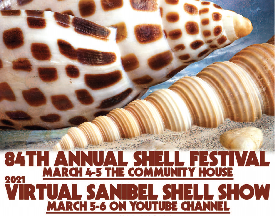 Organizers find reimagined ways to continue shell fest tradition | News, Sports, Jobs - SANIBEL-CAPTIVA - Vimarsana News