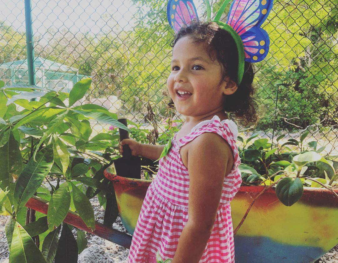 CECI to host beach cleanup for fundraiser | News, Sports, Jobs - SANIBEL-CAPTIVA - Island Reporter, Islander and Current - Vimarsana News