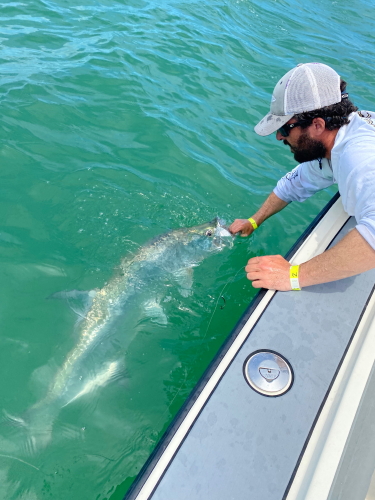 DDWS announces winners of annual tarpon tourney | News, Sports, Jobs - SANIBEL-CAPTIVA - Island Reporter, Islander and Current - Vimarsana News