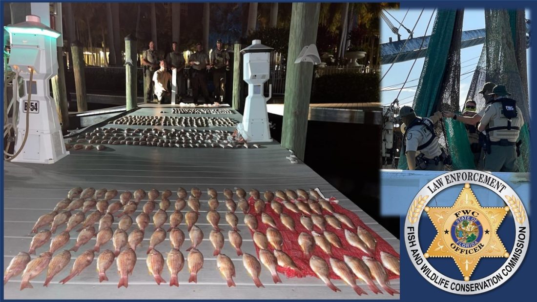 Shrimp boat facing possible charges after FWC inspection | News, Sports, Jobs - SANIBEL-CAPTIVA - Vimarsana News