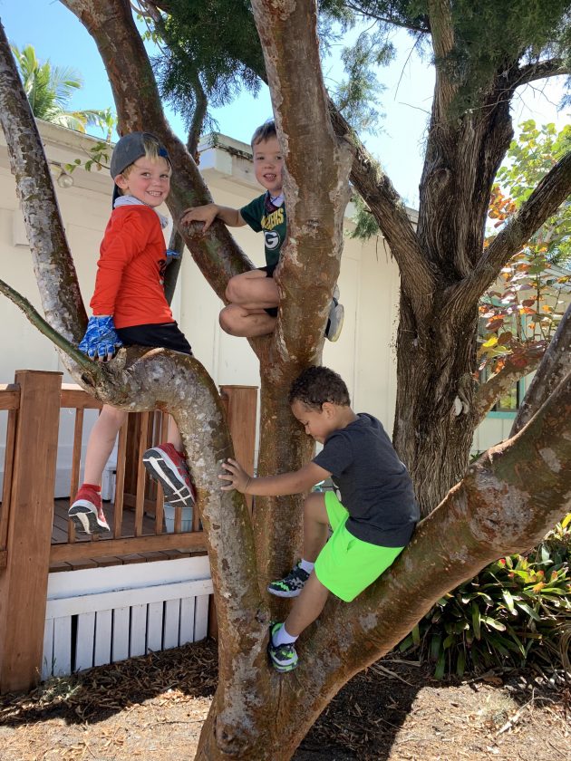 Summertime activities still available for island youths | News, Sports, Jobs - SANIBEL-CAPTIVA - Vimarsana News