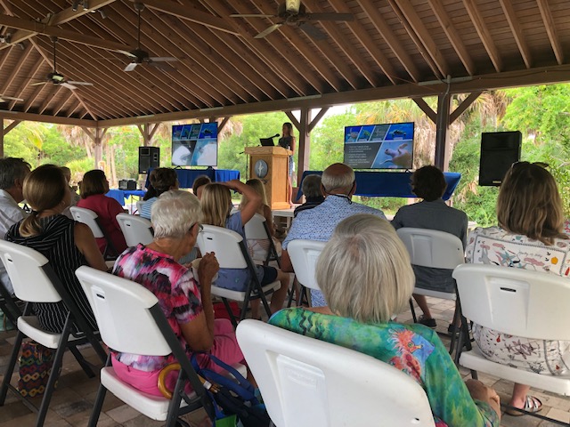 World Sea Turtle Day program raises funds for research initiative | News, Sports, Jobs - SANIBEL-CAPTIVA - Vimarsana News