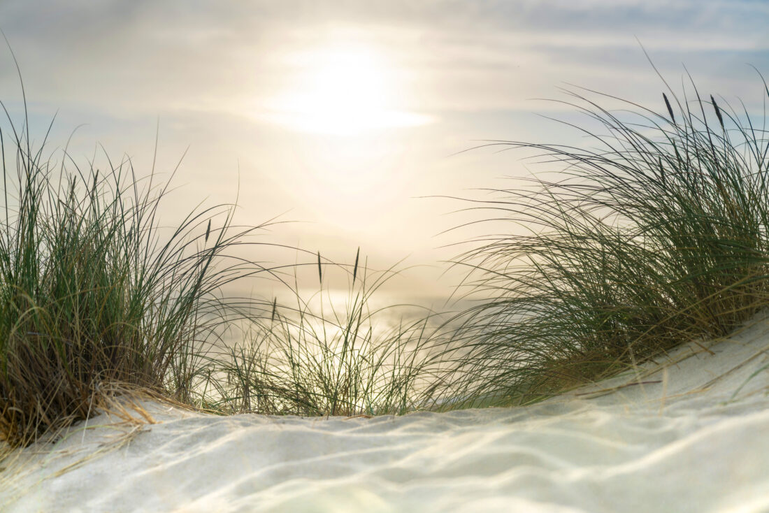 FGCU to host regional resiliency compact meeting | News, Sports, Jobs - SANIBEL-CAPTIVA - Island Reporter, Islander and Current - Vimarsana News