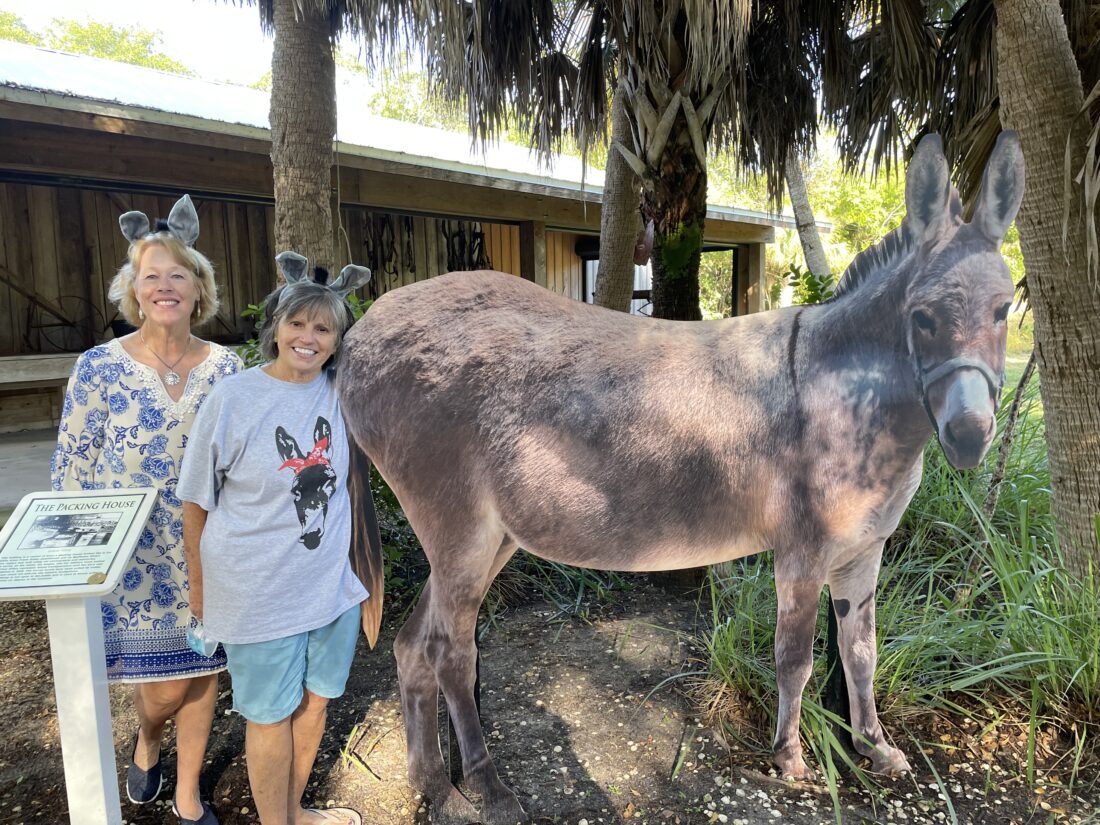 Historical village celebrating mule, its role on Sanibel | News, Sports, Jobs - SANIBEL-CAPTIVA - Vimarsana News