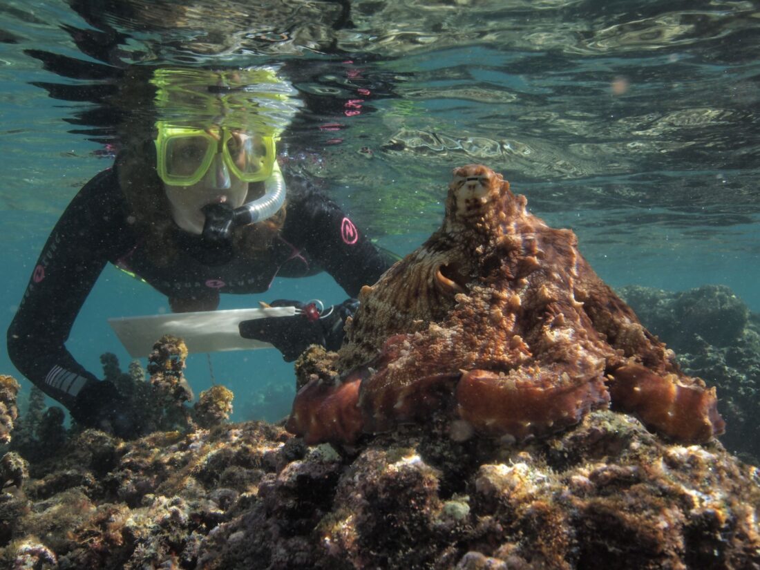 Shell museum announces speakers for lecture series | News, Sports, Jobs - SANIBEL-CAPTIVA - Island Reporter, Islander and Current - Vimarsana News